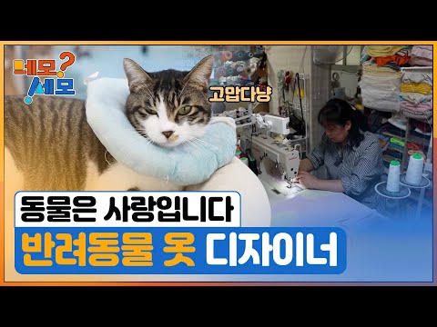 [네모세모] 애견 옷 디자이너의 특별한 동물 사랑