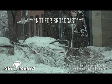 03/14/2021 - Fort Collins, CO - Heavy Wet Snow, Snapped Trees, Blizzard Conditions, Jack Knife Semi