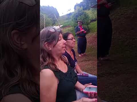 Gaúcho Mello.gaiteiro manhoso costela palmital pr