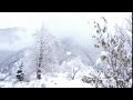Apolas Lermi - Yağmur (Official Video) 