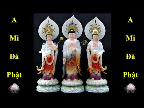 Cộng Tu Niệm Phật  - 7 giờ tối 12-2-2022, giờ California, tức 10 giờ sáng 13-2-2022, giờ Việt Nam