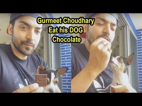 Gurmeet Choudhary TEASES His Cute DOG As He Eats Chocolate In Front Of Him