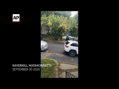 Authorities in Massachusetts capture runaway emu