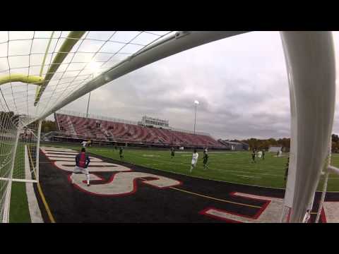 sebi shot vs stenmetz