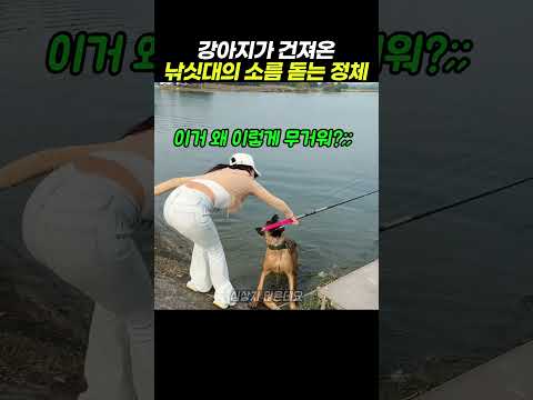 강아지가 떠내려가는 낚싯대 건져왔더니 대박 반전 ㄷㄷ #shorts