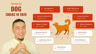 2026 Dog Zodiac - 2026 Chinese Zodiac Predictions You Need To Know