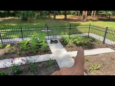 Veggies vs. Deer!   VEGGIES WIN! PROOF!!!   Secret Design Revealed!  The "NightOwl Seashell Design."