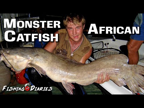 Monster African Catfish - Monster fish of Africa {Full DVD film}