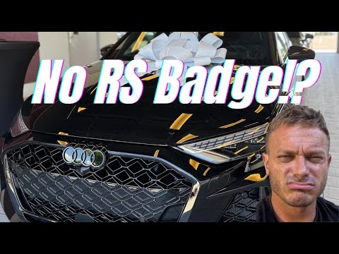 Why People HATE the 2025 RS3 — But Real Enthusiasts LOVE It