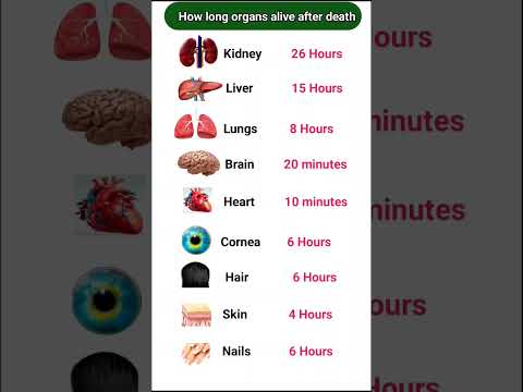 How long organs live after death