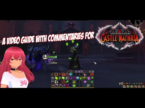 Castle Nathria | WoW: Shadowlands | Where to go solo guide | With Commentaries