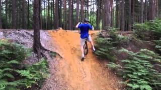 two wheeled ginger ninja