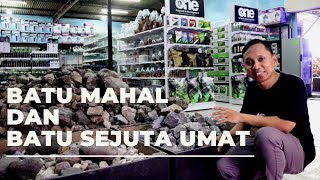 Review 12 Jenis Batu Hardscape untuk Aquascape | Bersama Nickz Aquascape Galeri & Shop