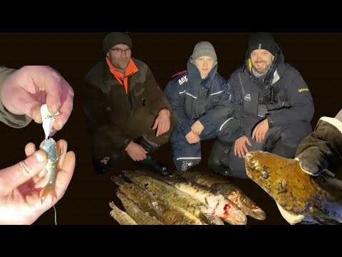 Mateen pilkintä mademorrilla - Kalastustekniikat - Mateen kutupaikat - Madepilkki