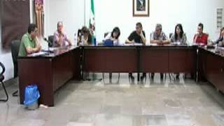 preview picture of video 'Pleno ordinario Ayuntamiento de Padul (31 de mayo de 2012)'