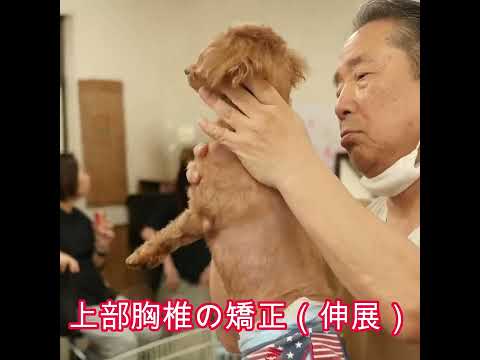 研究者らは警告:これらのペットは健康に重大なリスクをもたらす