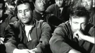 The Bamboo Prison (1954) Video