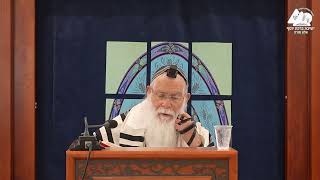 באיזה שמן ידליק בחול ובשבת | הרב אליקים לבנון | הלכות חנוכה תשפ"ה | 8 (ישיבת ברכת יוסף - אלון מורה) - התמונה מוצגת ישירות מתוך אתר האינטרנט יוטיוב. זכויות היוצרים בתמונה שייכות ליוצרה. קישור קרדיט למקור התוכן נמצא בתוך דף הסרטון באיזה שמן ידליק בחול ובשבת | הרב אליקים לבנון | הלכות חנוכה תשפ"ה | 8 (ישיבת ברכת יוסף - אלון מורה) - התמונה מוצגת ישירות מתוך אתר האינטרנט יוטיוב. זכויות היוצרים בתמונה שייכות ליוצרה. קישור קרדיט למקור התוכן נמצא בתוך דף הסרטון