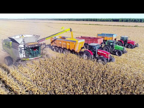 XXL MOISSON maïs 2017 in FRANCE - Claas Lexion 780 TT & Gros Matériel ! [4K]