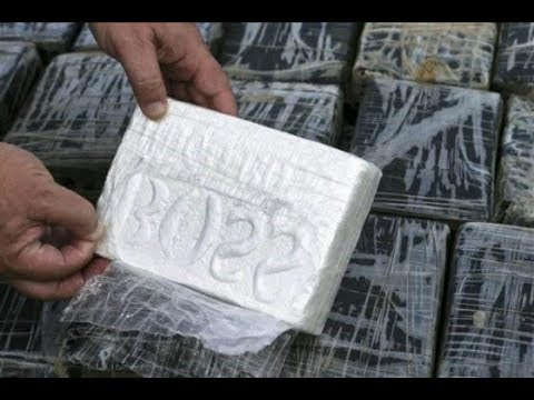 B.U.M.G. GOON X INTRO