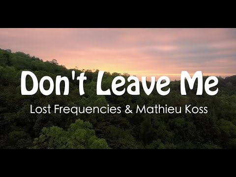 Lost Frequencies & Mathieu Koss - Don't Leave Me - Lyrics