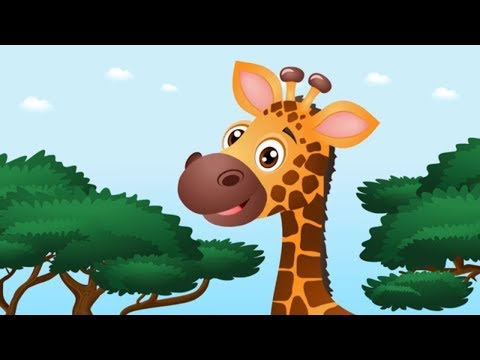 Zwierzęta afrykańskie - Bajka dla dzieci