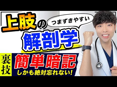 医学科 【動画を見るだけ】上肢の解剖を簡単に暗記できる裏技を詰め込みました。(解剖学,上肢,進級試験,CBT,医師国家試験)