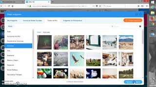 4.-Wix: agregar un fondo en movimiento, cajas con texto integrado, imágenes, gifs animados y fotos.