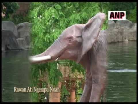 RAWAN ATI NGEMPU NUAN - RICKIE ANDREWSON ( KOLEKSI LAGU LAMA )