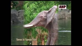 Download lagu RAWAN ATI NGEMPU NUAN - RICKIE ANDREWSON ( KOLEKSI LAGU LAMA ) mp3