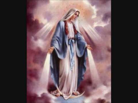 The Blue Ventures Ayudame