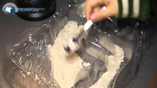 Tutorial Guy Triops züchten Teil 1