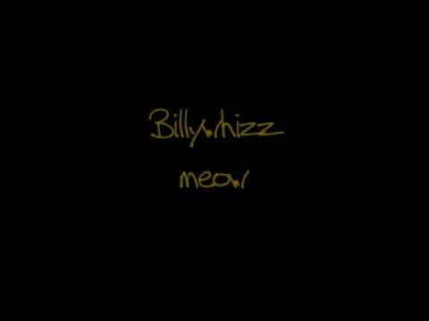 billywhizz - meow