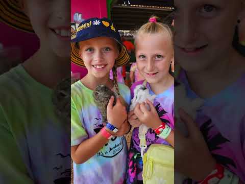 Pai Pai Tour- Ensenada Mexico