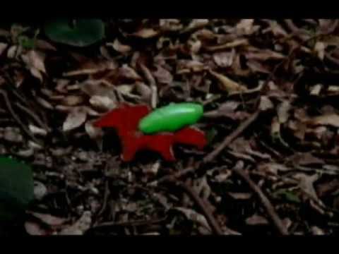 アート・デザイン学科 Movie モンスター映像の開発（東亜大学芸術学部）.wmv