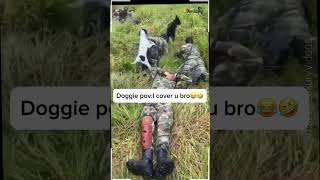 Amazing Videos . #amazing