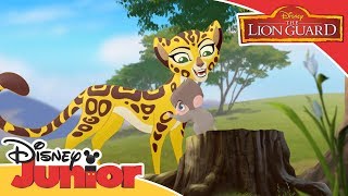 The Lion Guard - Baboons Song
