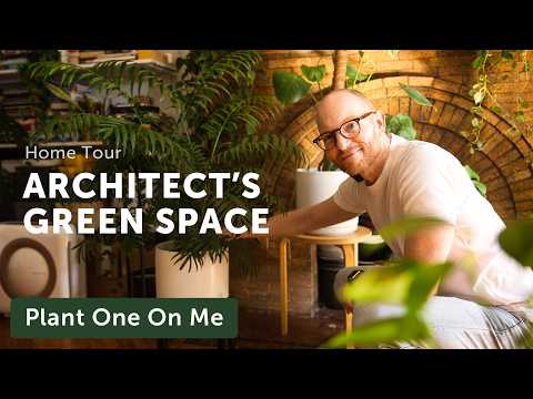 An Architect's Well-Appointed Houseplant Home Tour — Ep. 411