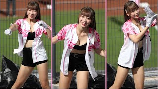 [閒聊] 小美 登峰造極