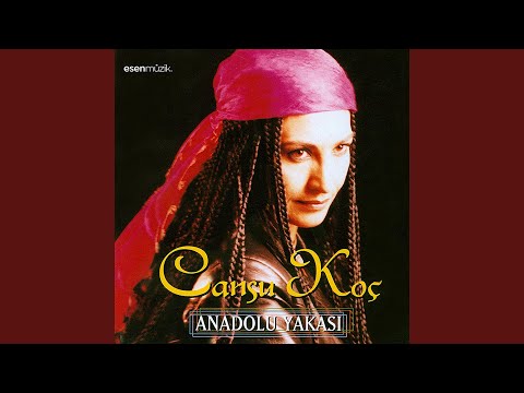 Video Yükleniyor...