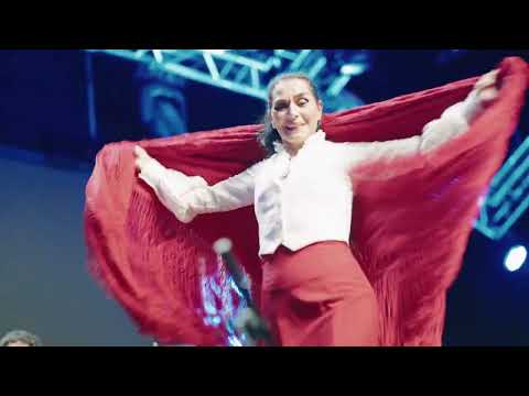 Dynamico project - Alegria