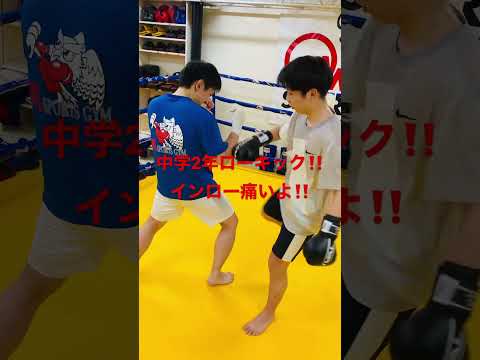 [キックボクシング　中学生　トレーニング] 中学2年ローキック‼️インロー痛いよ‼️ #キックボクシング #中学生 #トレーニング