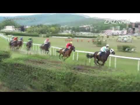 Dostihy 3. srpna 2019 - živě