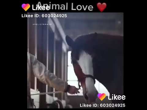 13 октября 2020 г.