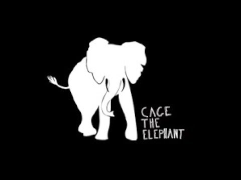 Ain't No Rest For The Wicked by Cage The Elephant |Lyrics|