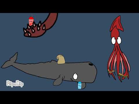 colossal squid, true kraken