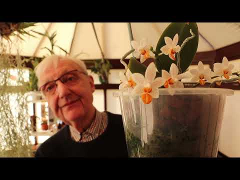 In Bloom At The End Of March 2022