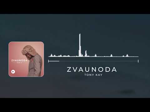 Tony Kay Zvaunoda Visualiser