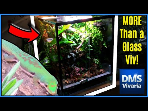 DMS Vivaria Review - Custom Reptile Enclosures for UK Herpetoculturists