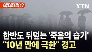 [에디터픽] 10년 침묵 끝, '재앙급 극한 여름' 경고…발달 초기 완전 진입 한반도 '초긴장' / YTN